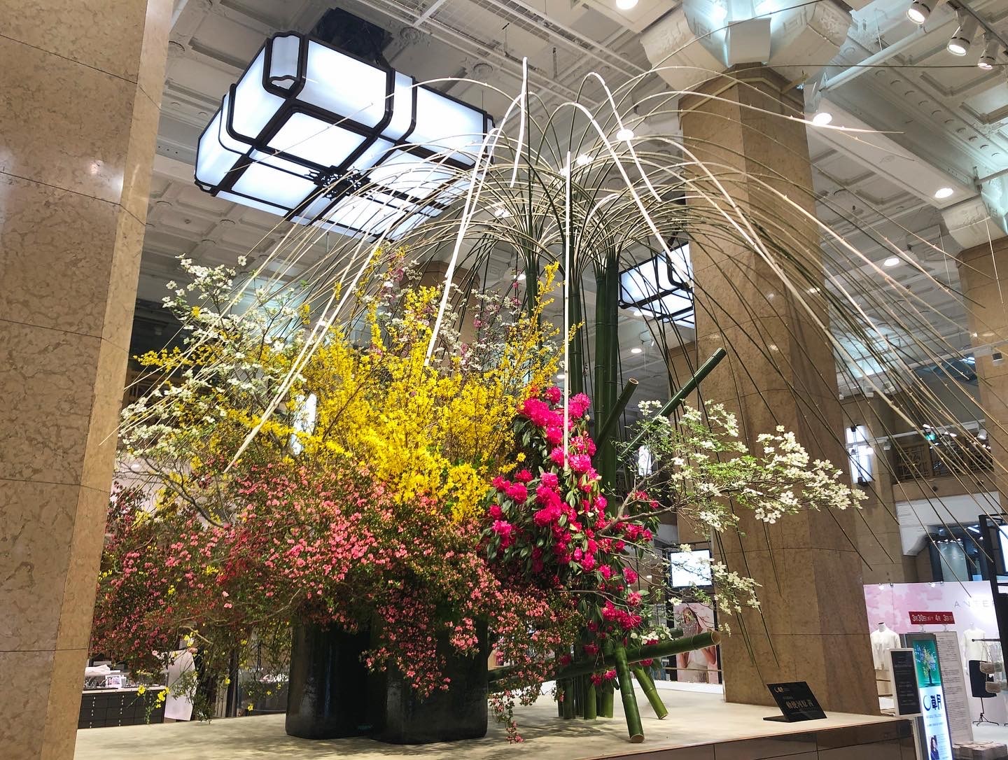 [2022年]
日本橋髙島屋「華のおもてなし」