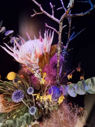 草月 花プロジェクト