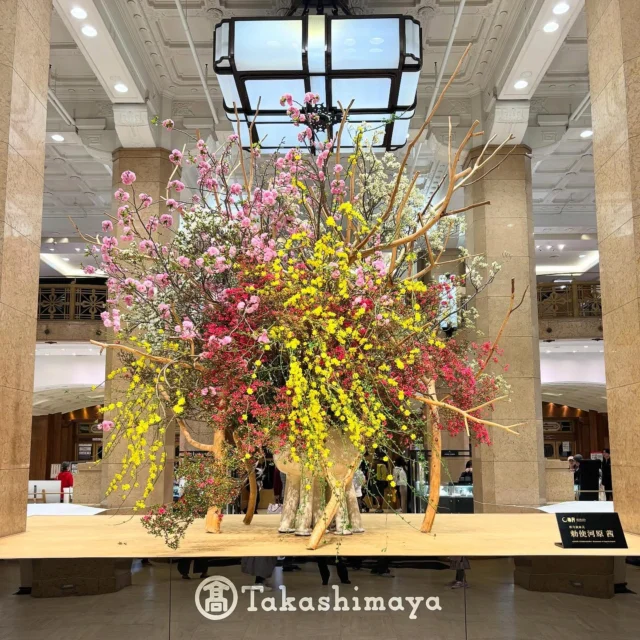 お花見は、日本橋高島屋へ

日本橋高島屋の1F正面ステージ
草月流家元・勅使河原茜による「華のおもてなし」
3月31日（火）まで

花材：八重桜・はなみずき・つるそけい・つつじ・あせび・北山ひのき

#sogetsu 
#草月流 
#桜 
#勅使河原茜
#日本橋高島屋