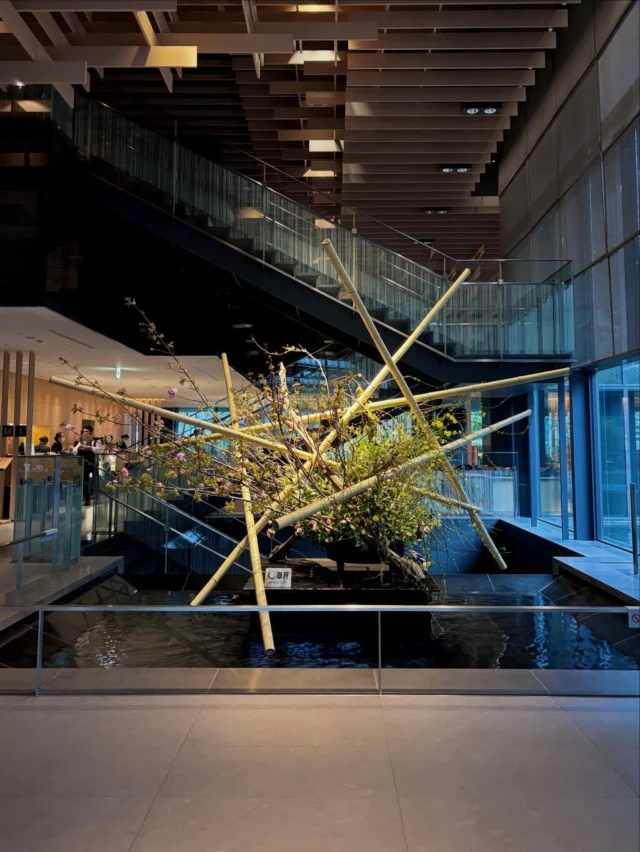 ザ・キャピトルホテル東急　今月のロビー作品です！

——————————————————

イメージ：「春光の園」

春の植物が寄り合う、庭園のようなイメージです。
椿、桜、つるそけいといった、色や質感や柔らかさの違う花材が
晒しの竹に組まれた合間から、それぞれの春の表情を覗かせます。

——————————————————

作家/ 飯岡湖武孜
【花材】しゃりぼく、丸竹（晒し）、八重桜（関山）、つるそけい、乙女椿
期間/ 〜月日

暖か区なってきた矢先、お天気は雨模様が続きますが
室内で柔らかい春の風景を単身でみては如何でしょうか🌸

#sogetsu  #草月流 #座草月 #いけばな #ザキャピトルホテル東急
—————————————————————————————————
花プロジェクトHPでは、新情報や過去の作例等も紹介しています。プロフィール欄のリンクから是非ご覧ください💻
花ギフトから装花ディスプレイまで幅広く制作いたします。お気軽にお問い合わせください！
@hana_project