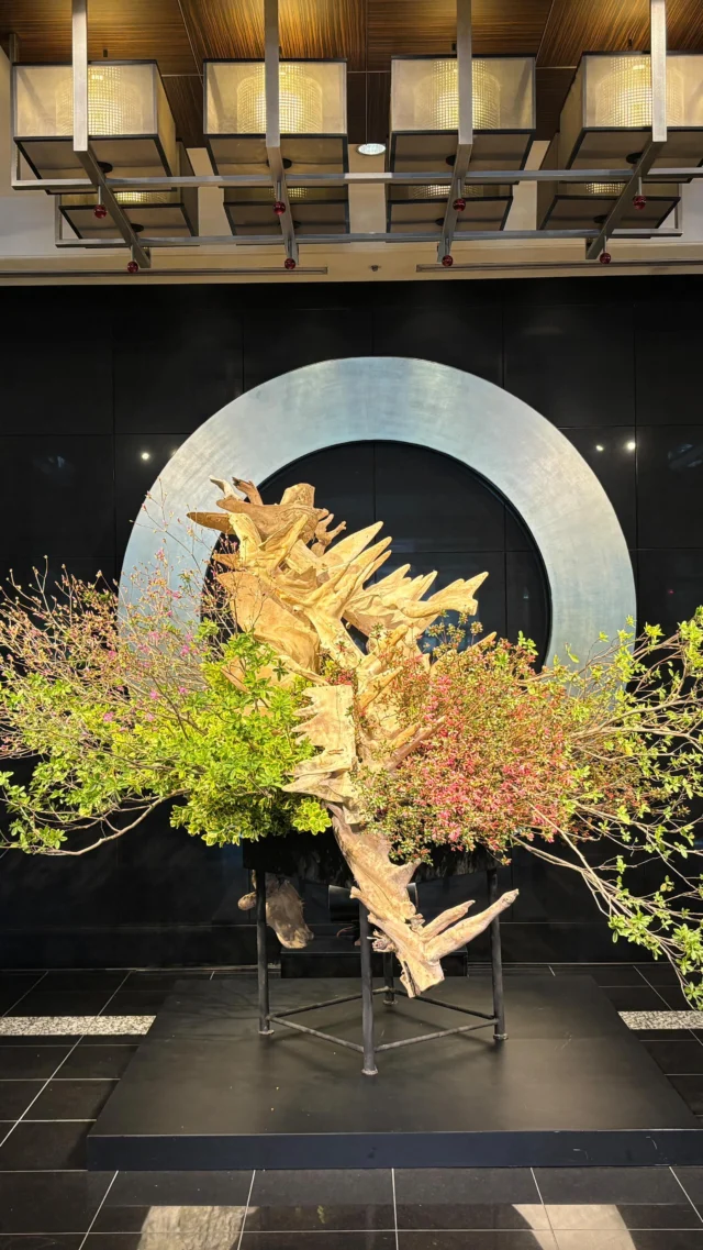 ホテルニューオータニ東京のロビィ花、いけかえを行いました！
すっと立ち上がった落羽松の左右に、多彩なつつじを…🌺
つつじが咲く頃には、また違った雰囲気をお楽しみいただけます🥰
お近くにお越しの際には、どうぞお立ち寄りくださいませ！

●作家/五十野雅峰
●花材/つつじ・まさき・落羽松

#sogetsu #ikebana #草月流 #芸術 #いけばな

—————————————————————
花プロジェクトHPでは、最新情報から、過去作例等をご紹介しております！　プロフィール欄のリンクから是非ご覧ください🖥装花ディスプレイなら「草月花プロジェクト」までお気軽にお問い合わせください。
@hana_project
——————————————————————