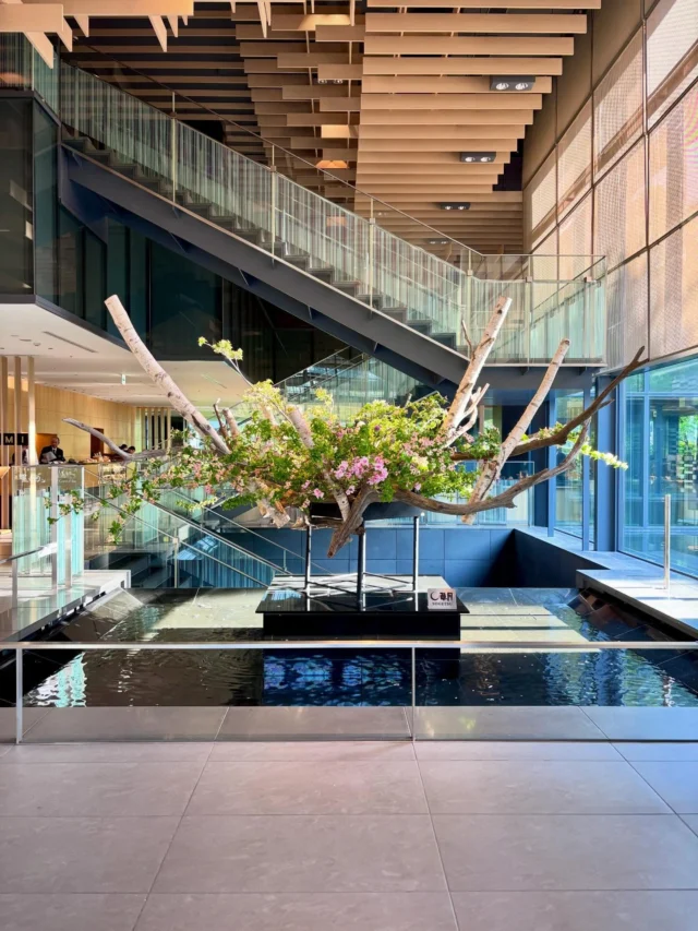 ザ・キャピトルホテル東急　今月のロビー作品です！

——————————————————

イメージ：「翠葉に、萌え舞う」

しゃりぼくと白樺、つつじによって形成された木々の合間を
舞うような、はなみずきやギガンチウムが特徴です。
春と夏のはざまを移ろう幻想的なイメージの作品です。
——————————————————

作家/ 御手洗直己
【花材】しゃりぼく、白樺、はなみずき、つつじ、ギガンチウム、ばいかうつぎ
期間/ 〜5月26日（火）

ゴールデンウィークがいよいよ目前、
電車でお出かけの際に是非お立ち寄りください。

#sogetsu  #草月流 #座草月 #いけばな #ザキャピトルホテル東急
—————————————————————————————————
花プロジェクトHPでは、新情報や過去の作例等も紹介しています。プロフィール欄のリンクから是非ご覧ください💻
花ギフトから装花ディスプレイまで幅広く制作いたします。お気軽にお問い合わせください！
@hana_project