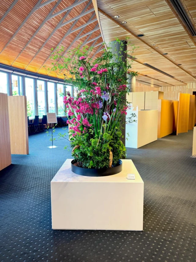 赤坂虎屋の今回の作品はこちら🐅

おやづるを中心に茂る緑と初夏の花が
水盤の水面から浮かぶような爽やかな作品です。

ゴールデンウィークも直前、
お出かけの際は赤坂でお茶といけばなを楽しんでは如何でしょうか🌿

展示期間/ ～2026年5月28日
作家/ 島田湖葉

花材/  おやづる、どうだんつつじ、あせび、つつじ、まんさく、花しょうぶ、オクラレルカ、テマリソウ、ルスカス

テーブル作品花材/ きんまさき、オンシジウム、スプレー菊、トルコキキョウ、ナルコラン

#sogetsu #草月流 #いけばな  #とらや赤坂店　#とらや

————————————————
花プロジェクトHPでは、新情報や過去の作例等も紹介しています。プロフィール欄のリンクから是非ご覧ください💻
花ギフトから装花ディスプレイまで幅広く制作いたします。
お気軽にお問い合わせください！
@hana_project
———————————————————————————