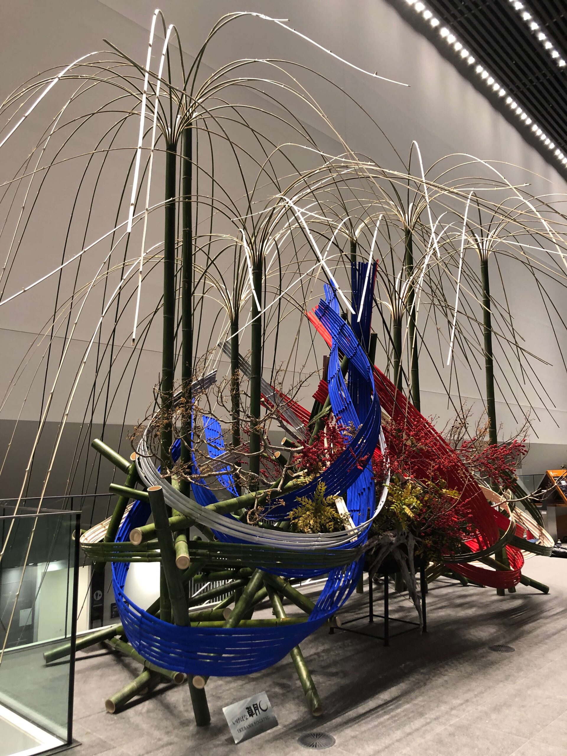 [2022年]
第76回全日本総合バドミントン選手権大会