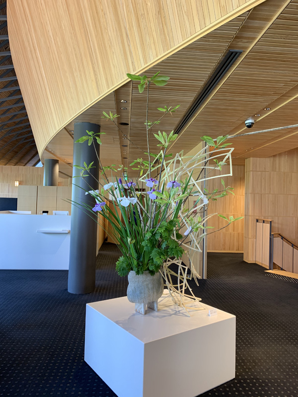 虎屋赤坂店　常設