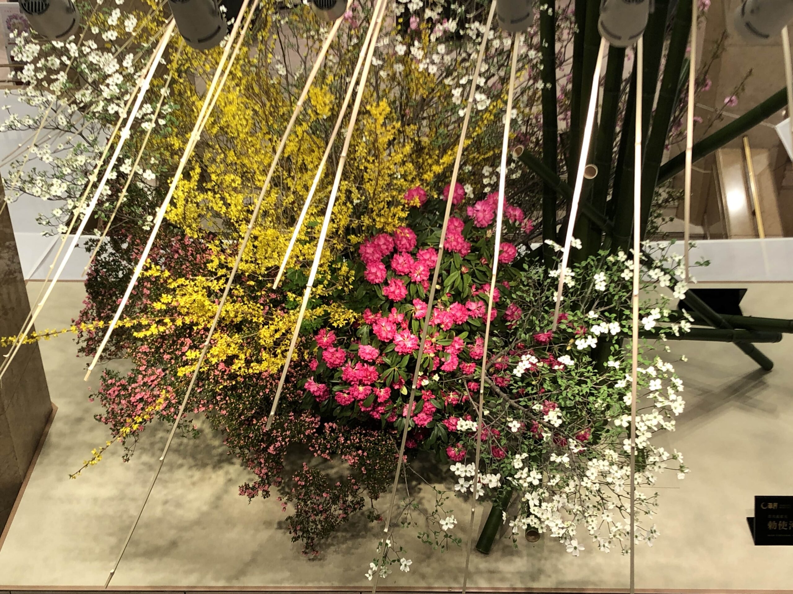 [2022年]
日本橋髙島屋「華のおもてなし」