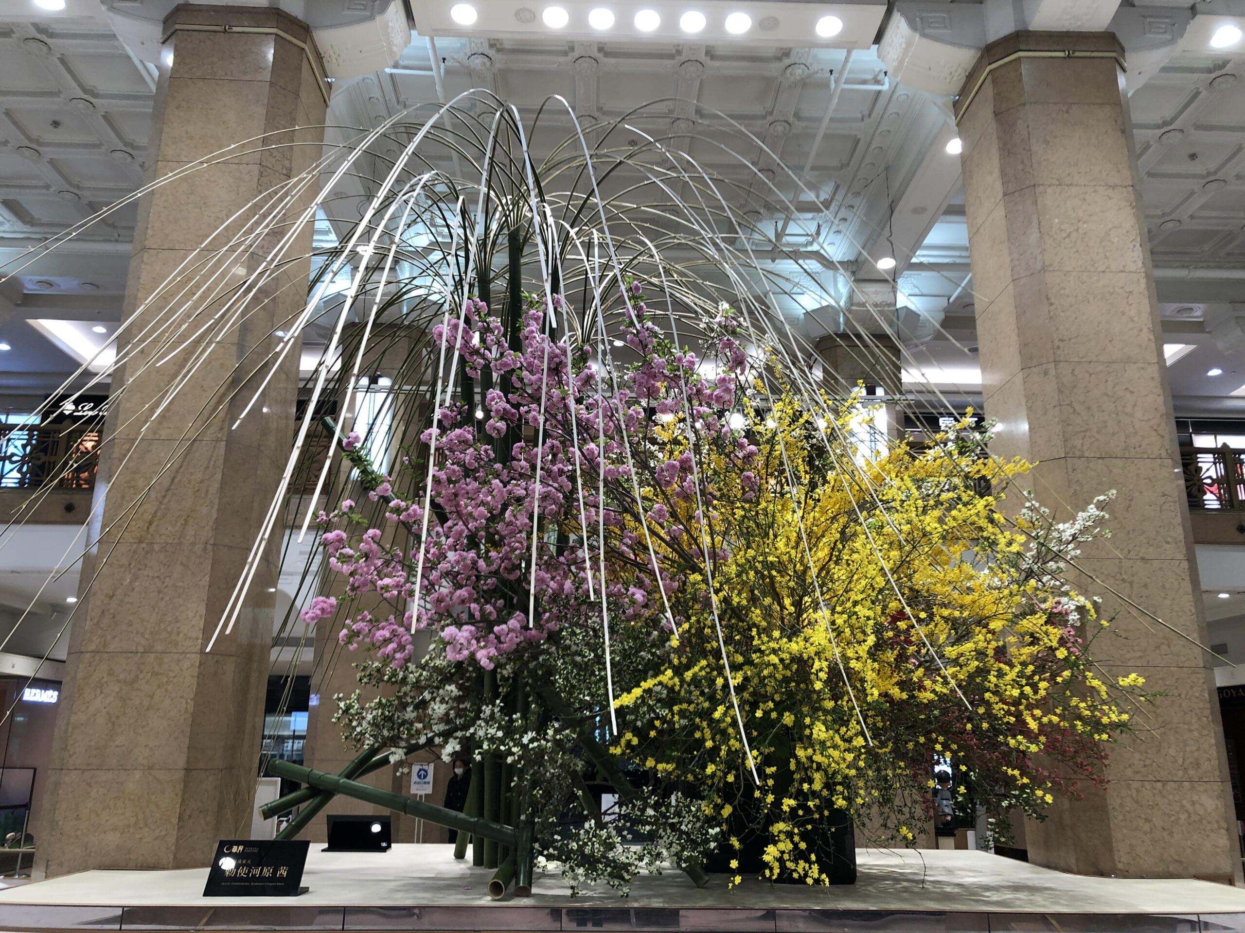 [2022年]
日本橋髙島屋「華のおもてなし」