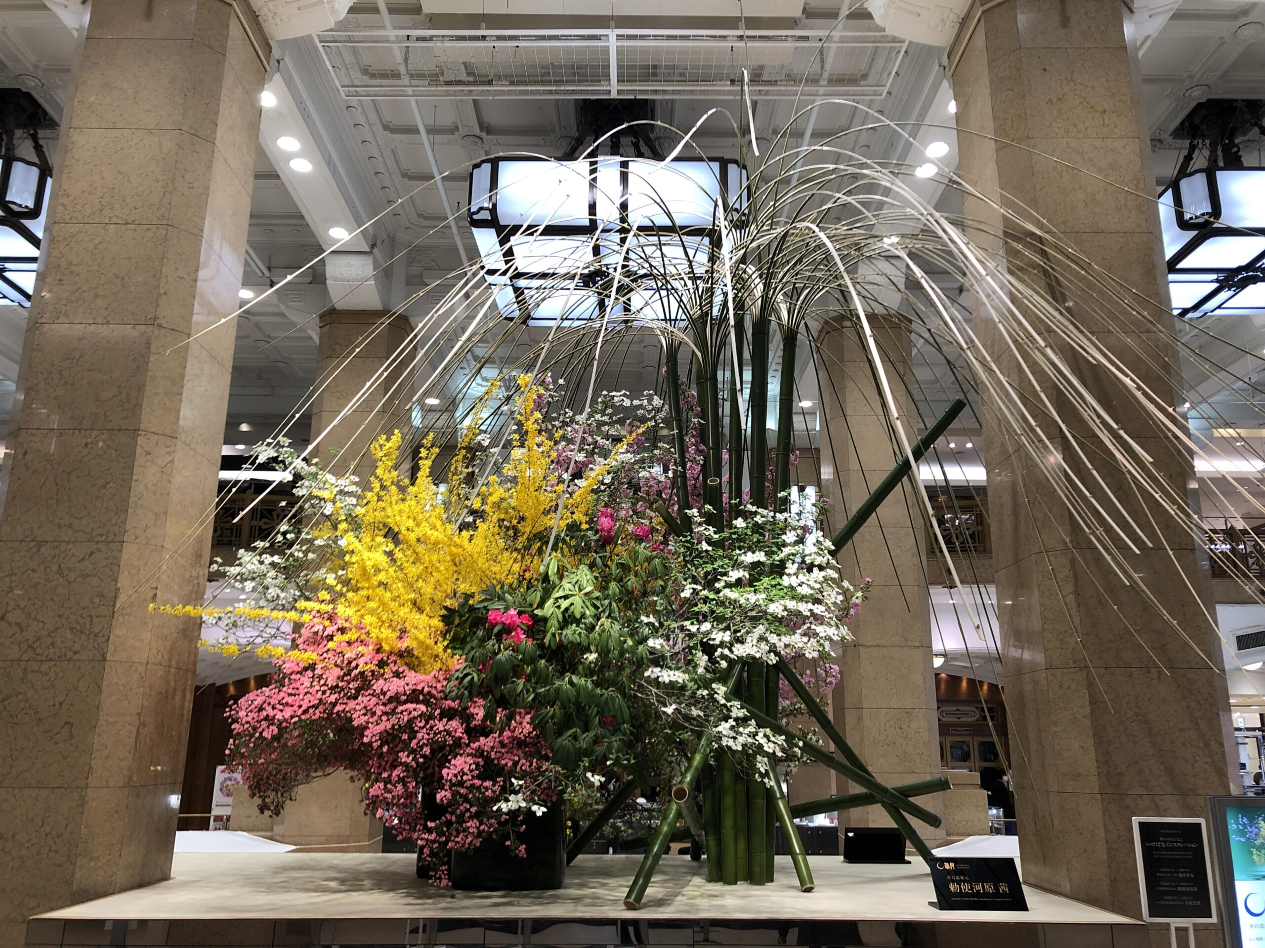 [2022年]
日本橋髙島屋「華のおもてなし」