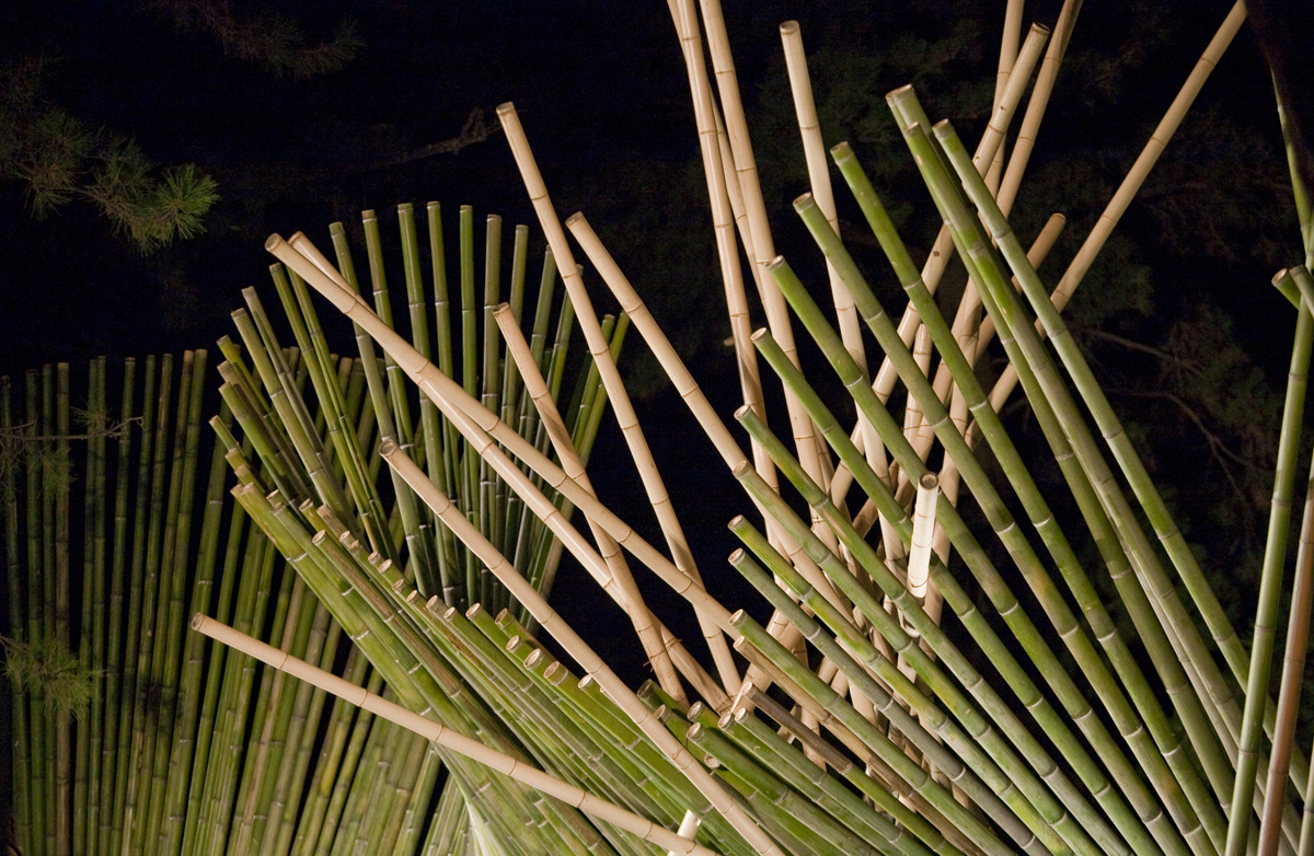 [2009年]
ジャパンアートフェスティバル
イン 沼津2009