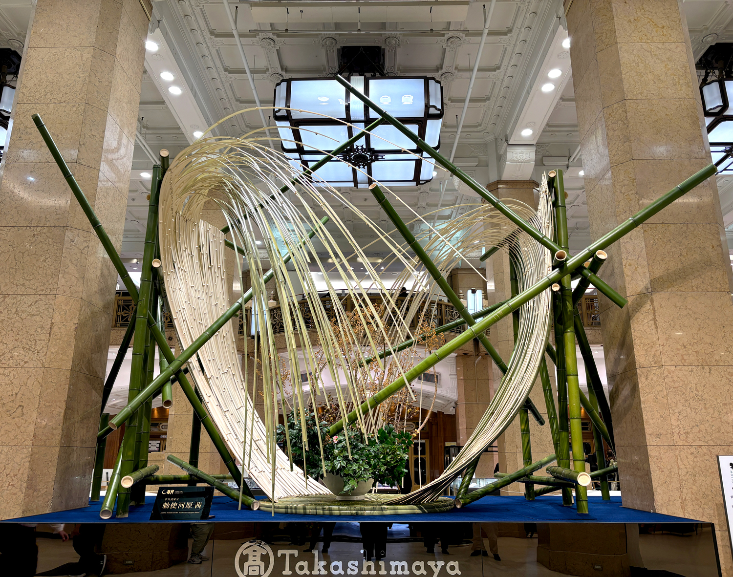 第105回草月いけばな展「遊べ、もっと！」