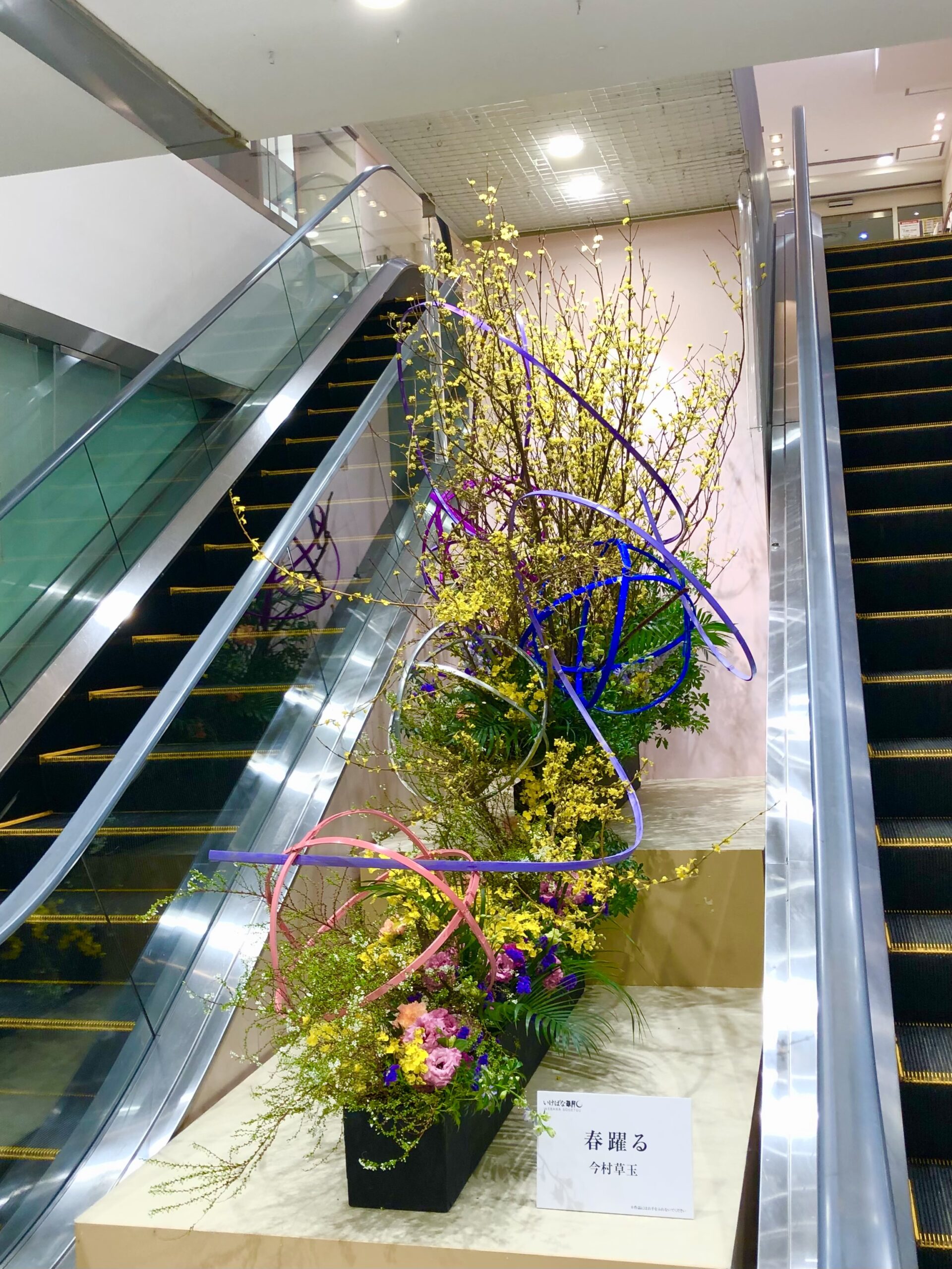 柏高島屋ステーションモール『草月の春 2023』